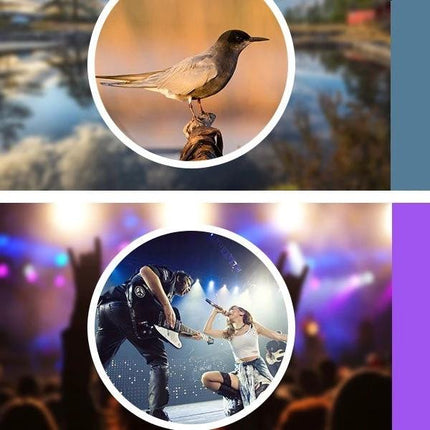 12X Zoom Telescope Lens for Distant Smartphone Viewing capturing distant bird and concert scenes with clip-on smartphone lens