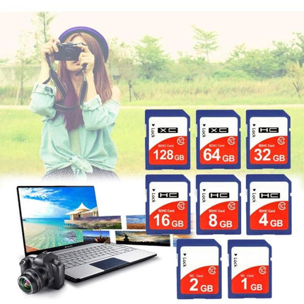 64GB SDHC Memory Card for Cameras and Portable Devices - dependable 64GB storage for photos and video on trips and outdoor shoots