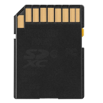 16GB SDHC Memory Card for Digital Cameras and Devices - black SDHC card shown from contact pin side, 16GB storage for photos and videos