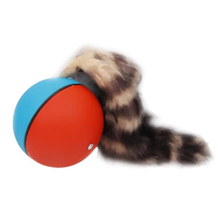 Fun Interactive Rolling Ball Toy for Pets and Kids at Home with fluffy tail attachment enticing cat or small dog to chase