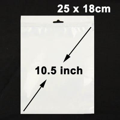 Anti-Static Zip Lock Bags for Electronics Protection, 25x18cm clear resealable anti-static bag showing 25 x 18cm / 10.5 inch size