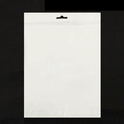 Anti-Static Zip Lock Bag for Electronic Protection, 27 x 18 cm - clear anti-static resealable pouch for circuit boards and computer parts