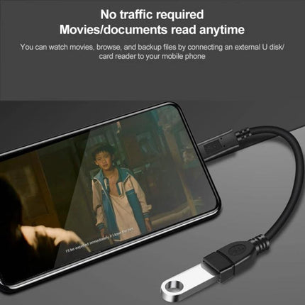 Type C USB Connector for Daily Device Links at Home - phone connected to USB flash drive for movies and file transfer