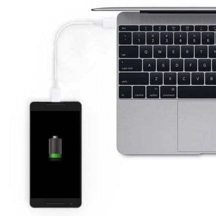 Short USB-C Cable for Everyday Device Charging and Syncing connecting phone to laptop for quick charging and tidy desk setup