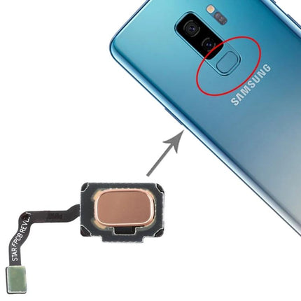 Replacement Fingerprint Cable for Samsung Galaxy S9 Daily Use - replacement sensor cable shown with arrow pointing to S9 fingerprint location