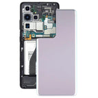 For Samsung Galaxy S21 Ultra 5G / Silver