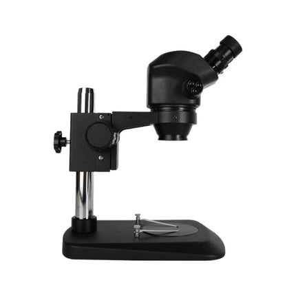 Professional Stereo Binocular Microscope for Science and Lab Use on stand, binocular head with adjustable eyepieces for clear lab and classroom viewing