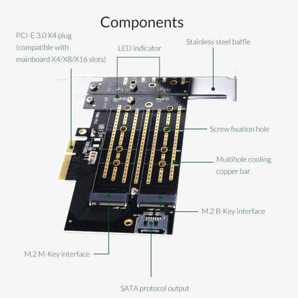 Orico PDM2 Adapter for Upgrading PC Storage with M.2 Drives showing dual M.2 slots, PCI-E connector, SATA output and component labels