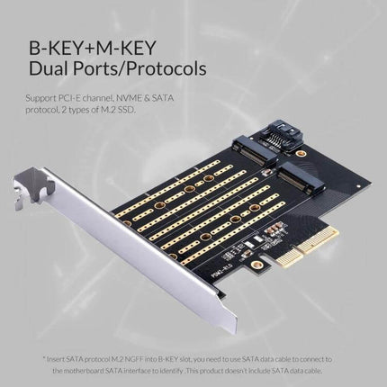 Orico PDM2 Adapter for Upgrading PC Storage with M.2 Drives showing dual B-KEY and M-KEY ports on PCIe adapter card