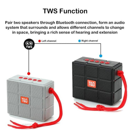 T And G Portable Speaker With LED Light For Outdoor Gatherings showing two T&G speakers paired via TWS for stereo sound