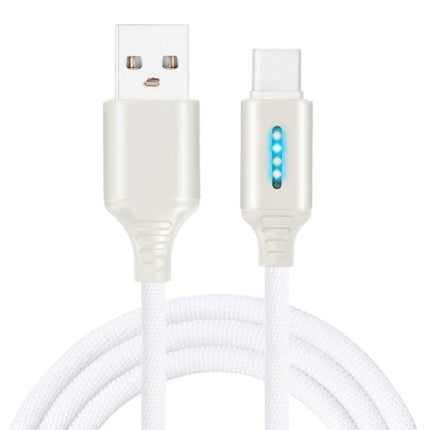 Essential Cable for Everyday Device Charging at Home - white USB-C braided cable with LED charging indicator
