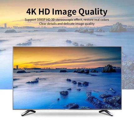 JSM Compact HDMI to AV Video Converter for Analog TVs showing 4K HD image on legacy television display