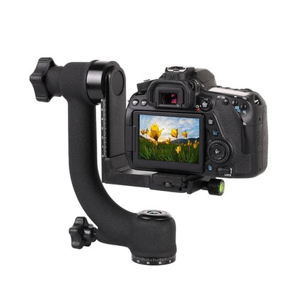 Gimbal Tripod Ball Head for Horizontal Camera Stability mounted with DSLR showing landscape framing and quick-release plate