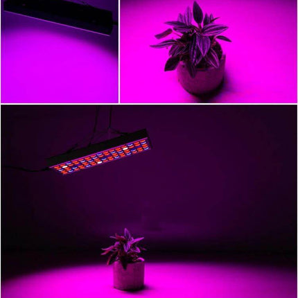 Plant Grow Light 25W 75LEDs Full Spectrum For Seedlings shown hanging over a potted seedling in magenta light