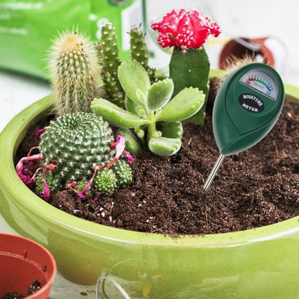 Compact Mini Soil pH and Moisture Meter for Home Gardening in potted succulent and cactus soil showing moisture gauge
