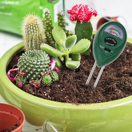 Soil pH and Moisture Meter for Gardening and Plant Care inserted in potted succulents and cacti to check soil pH and moisture quickly
