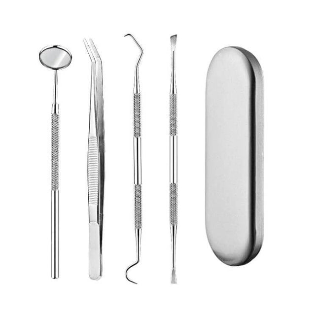Stainless Steel 4-In-1 Dental Tool Set For Home Use showing mirror, tweezer, probes and storage case for at-home checks and light cleaning