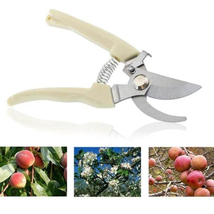 Stainless Steel Pruning Shears For Fruit Trees Everyday Garden Tool compact stainless steel blade pruning shears with plastic handle for fruit trees