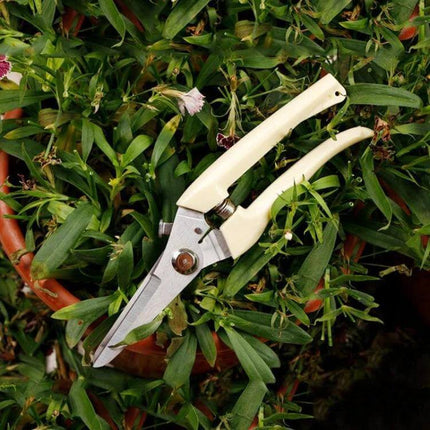 Stainless Steel Pruning Shears For Fruit Trees Everyday Garden Tool compact stainless steel blade with plastic handle on green foliage