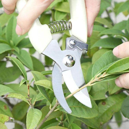 Stainless Steel Pruning Shears For Fruit Trees Everyday Garden Tool compact stainless steel blade with plastic handle cutting small branch