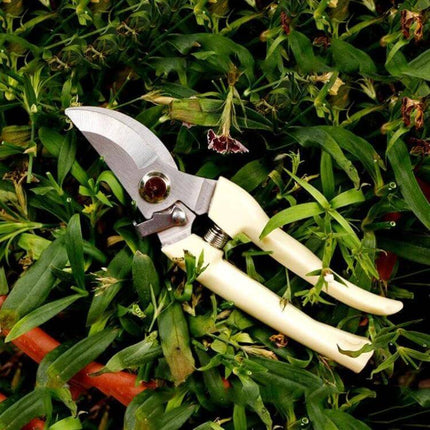 Stainless Steel Pruning Shears For Fruit Trees Everyday Garden Tool - compact stainless blade with white plastic handle on green foliage