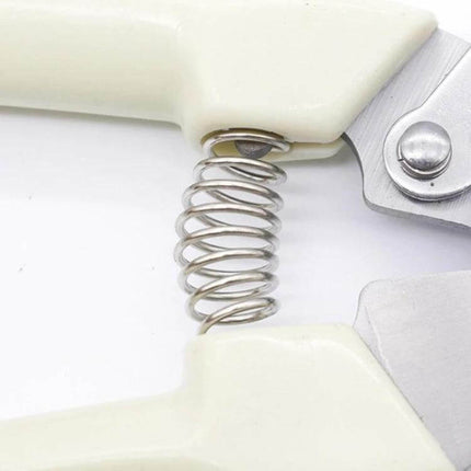 Stainless Steel Pruning Shears For Fruit Trees Everyday Garden Tool close-up of spring and blade showing stainless steel cutting jaw and plastic handle