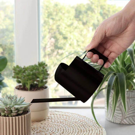 Stainless Steel Watering Can 300ml For Plants With Long Spout - black stainless steel indoor watering can with long spout pouring succulents