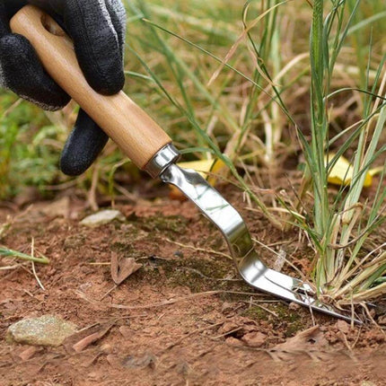 Stainless Steel Weeder With Wooden Handle For Root Removal removing grass roots in garden bed with beech wood handle, 28cm tool