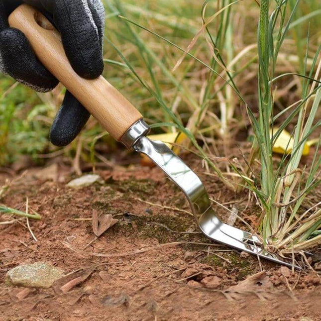 Stainless Steel Weeder With Wooden Handle For Root Removal removing grass roots in garden bed with beech wood handle, 28cm tool