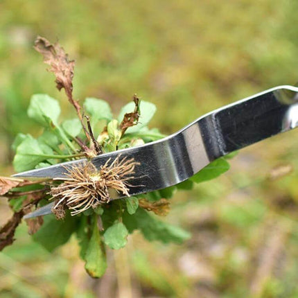 Stainless Steel Weeder With Wooden Handle For Root Removal removing grass roots from garden bed with pointed stainless blade and beech wood handle