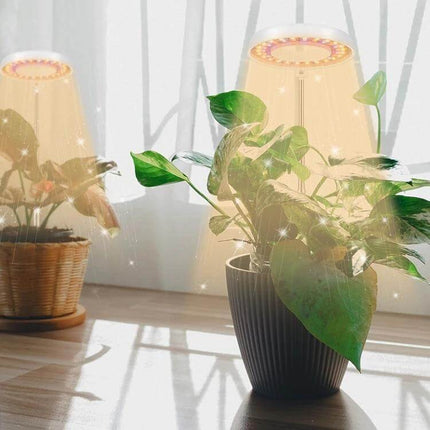 Succulent Plant Grow Light USB Powered For Indoor Windowsill Use compact 10W 48-LED grow light with telescoping arm and 360° rotatable head
