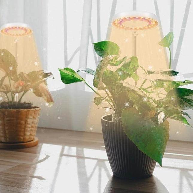 Succulent Plant Grow Light USB Powered For Indoor Windowsill Use compact 10W 48-LED grow light with telescoping arm and 360° rotatable head
