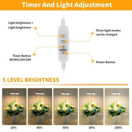 Succulent Plant Grow Light USB Powered For Indoor Windowsill Use — controller with timer, 5 brightness levels (20–100%) and three light modes shown