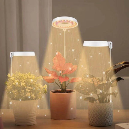 Succulent Plant Grow Light USB Powered For Indoor Windowsill Use - compact 10W 48-LED telescoping 360° rotatable head for succulents