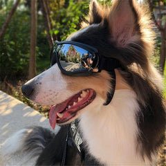 Dog Goggles for Big Breeds - Waterproof, UV Protection & Windproof Sunglasses