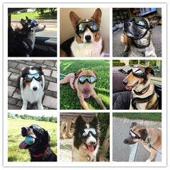 Dog Goggles for Big Breeds - Waterproof, UV Protection & Windproof Sunglasses