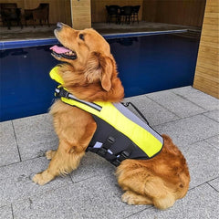 Inflatable Dog Safety Swimsuit with Airbag Technology for Water Adventures