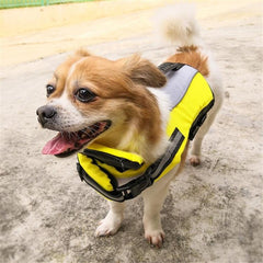 Inflatable Dog Safety Swimsuit with Airbag Technology for Water Adventures