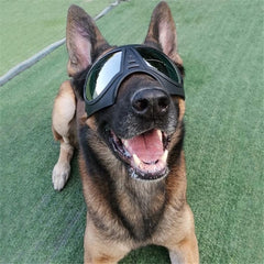 Stylish Waterproof and Snowproof Dog Goggles - Pet Mask Glasses for Ultimate Eye Protection