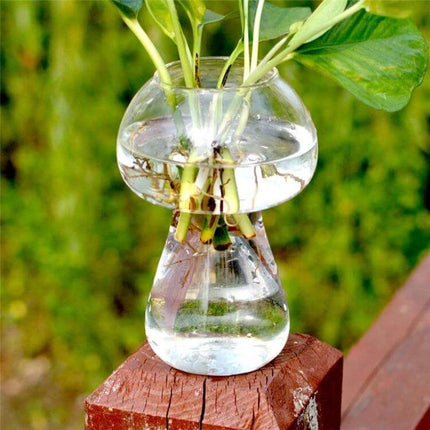 Mushroom Shaped Glass Vase 10x15cm For Home Decor Display - clear mushroom-shaped glass vase with water and stems for desk or shelf