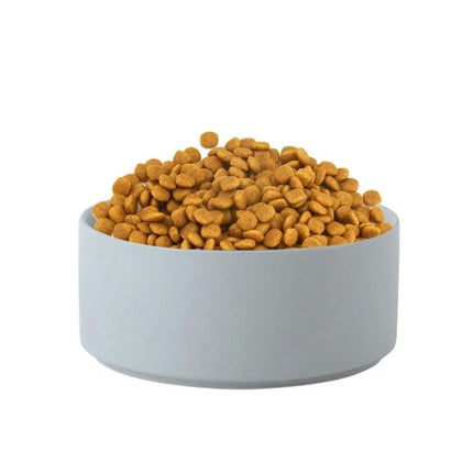 Essential Ceramic Pet Bowl for Daily Home Feeding filled with dry kibble, durable ceramic and bamboo design for cats and small dogs