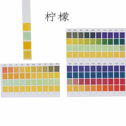 pH Test Strips for Measuring Water Acidity, 100 Pack showing strips and color comparison chart for pH 0–14
