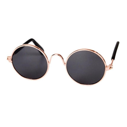Pet Sunglasses for Stylish Outdoor Adventures with Dogs - round metal dog sunglasses with dark lenses for park walks and photos
