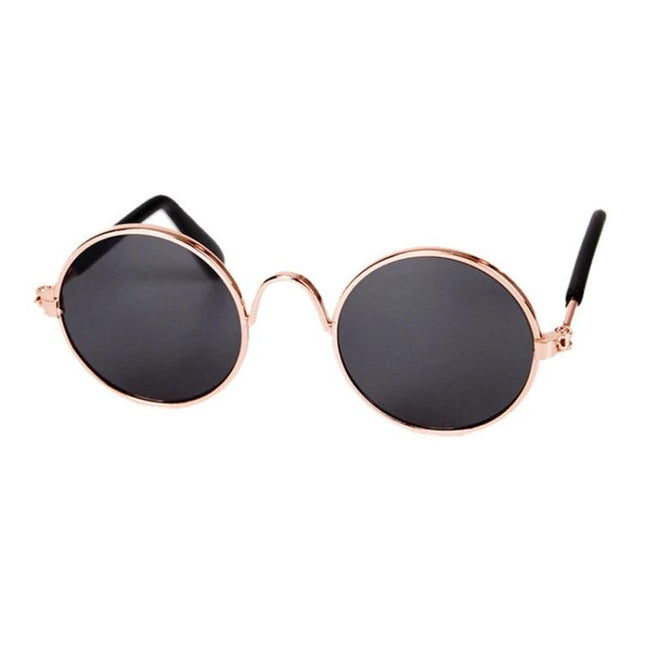 Pet Sunglasses for Stylish Outdoor Adventures with Dogs - round metal dog sunglasses with dark lenses for park walks and photos