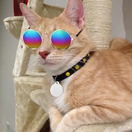 Pet Sunglasses for Stylish Outdoor Adventures with Dogs - tan cat wearing metal-framed rainbow lenses and studded collar, protective pet eyewear