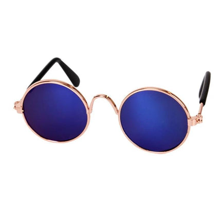 Pet Sunglasses for Stylish Outdoor Adventures with Dogs - round metal blue-lens shades for pets on walks and photos