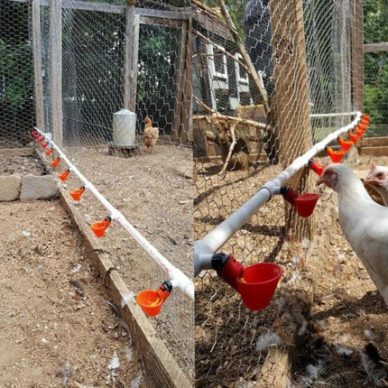 Drinking Bowl for Everyday Poultry Hydration in Backyards - red poultry nipple cups lined along coop for clean on-demand water