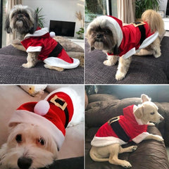 Festive Santa Costume for Small Dogs - Winter Holiday Pet Apparel