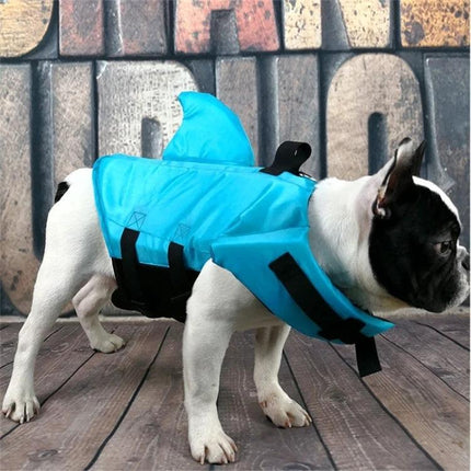 Dog Life Jacket for Safe Summer Water Activities - small white and black dog wearing bright blue buoyant vest with handle and straps