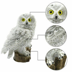 Whimsical Solar Owl LED Garden Lamp for Nighttime Glow